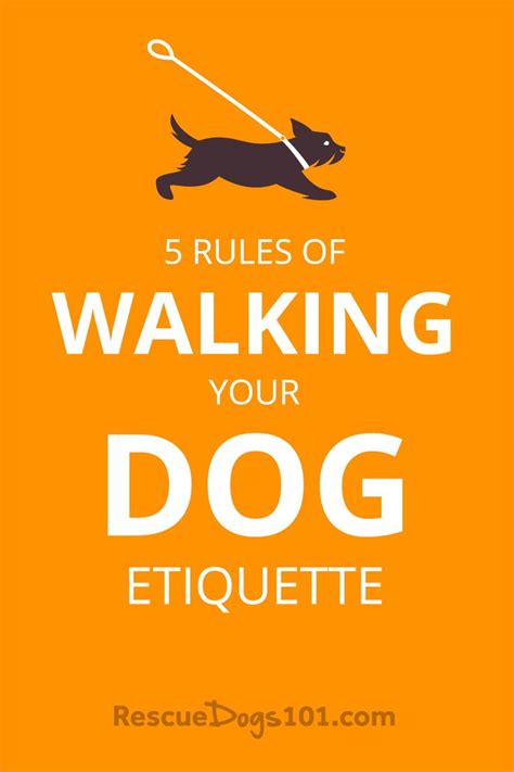  When it comes to raising the perfect dog and socially acceptable dog etiquette, if your dog lags, he might be shunned by canine peers making it difficult to reintegrate him into the neighborhood dog community