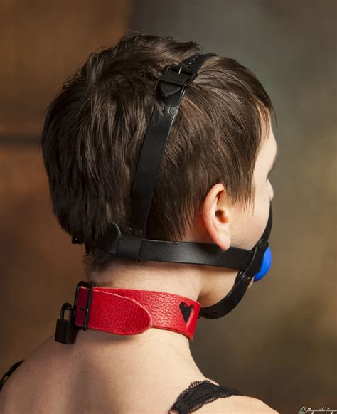  When looking at over the head harnesses, make sure to look for one with adjustable straps