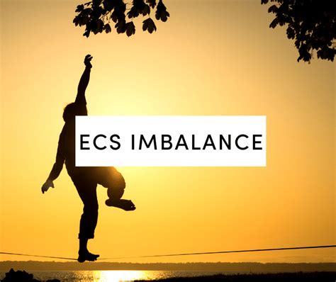  When there is any kind of imbalance in the ECS, various concerns can manifest