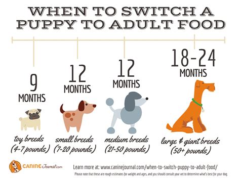  When to Switch Puppy to Adult Food Once you know when your puppy will reach maturity, you can decide when to switch to adult food