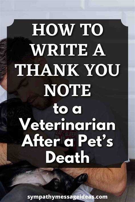  When you call your vet, make a note of what you see, if anything