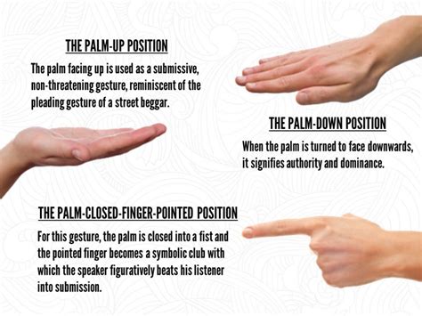  When you pick them up, do so carefully with your palm supporting their entire chest