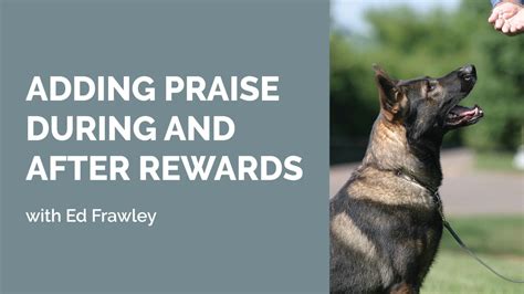  When your dog does, reward it with a treat and lots of praise