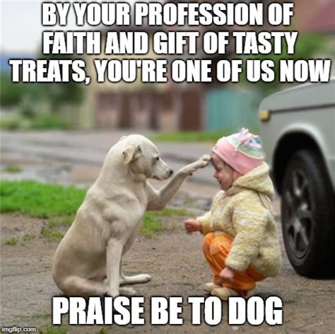  When your dog moves, praise him and give him treats