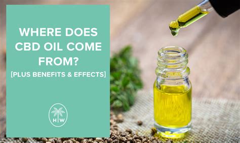  Where does your CBD oil come from? Our CBD oil comes from trusted sources with a proven record of quality