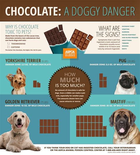  Whether dark or light chocolate, dogs don