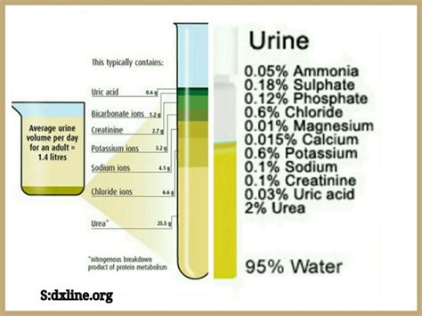  While it does contain some of the same chemicals found in natural urine, it lacks certain indicators of biological processes like urea and uric acid