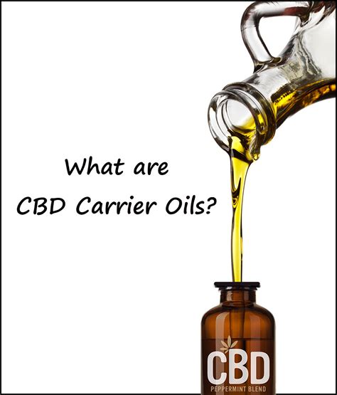  While most CBD oils use MCT oil as a carrier oil, olive oil is an upgrade because of the phytonutrients and vitamins working together for healthier skin and a shinier coat