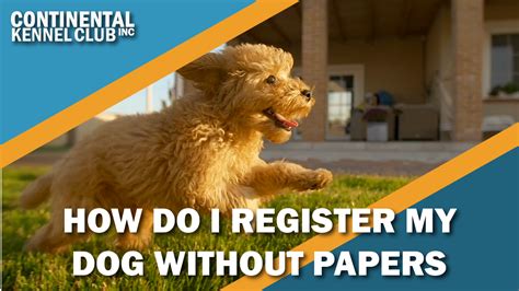  While purchasing a dog without papers may seem like a cheaper option initially, it often leads to unforeseen expenses in terms of medical care and other related services