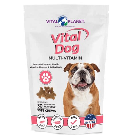  While routine visits to the vet are necessary, there are a few vital dog health products that you should keep in mind to help you care for your dog