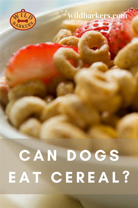  While some cereals are perfectly safe for dogs, others can be harmful