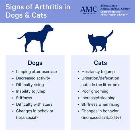  While the study focused on dogs, osteoarthritis is also a common condition in cats