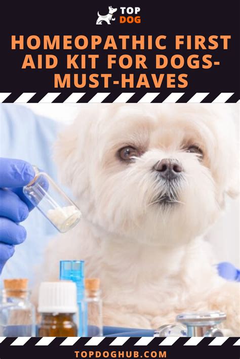  While these changes are generally harmless, it is recommended to consult with a veterinarian before administering high doses of CBD oil, especially if your dog is already on medication