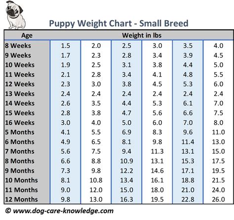 While this is all useful and included in our charts, what is missing from many others is what weight your puppy will likely be based on his actual weight now