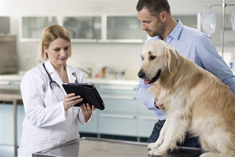  While this may be the case, that does not mean that veterinarians and pet owners should avoid giving dogs and cats CBD