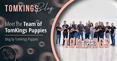  Why should I choose Tomkings Kennel? We at TomKings Kennel are committed to the health, well-being, and responsible breeding of French Bulldogs