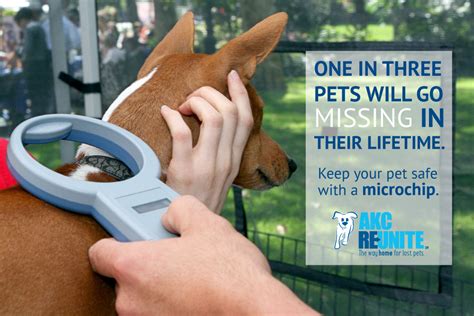  Will my puppy be micro-chipped? Visit akcreunite