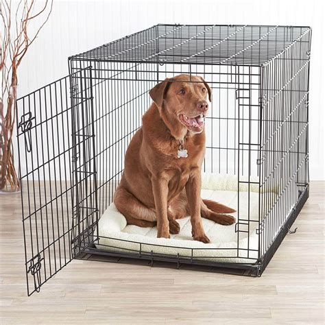  Wire crates allow total ventilation and enable the dog to see everything in his environment