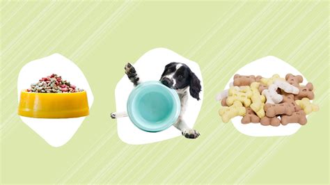  With a range of flavors and textures available, you can easily find a treat that your furry friend will love, making administering medicine a breeze