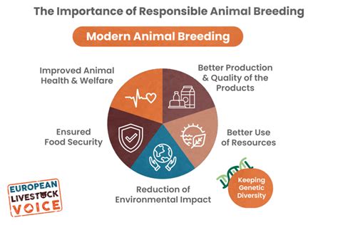  With all health concerns addressed and responsible breeding practices performed, there still is the possibility a health problem could arise
