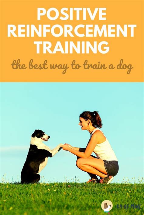  With consistent and positive reinforcement training methods, they can be a terrific and well-mannered companion
