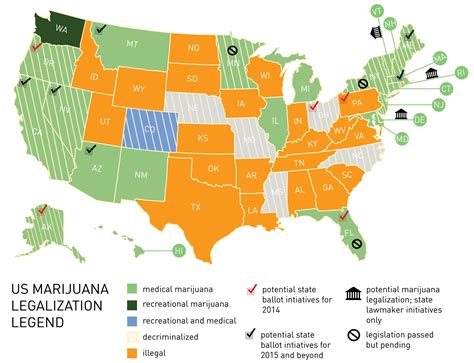 With full legalization of marijuana on the horizon for the United States, and legal access to marijuana available in most states, knowing how long you can test positive for marijuana on a drug test is crucial information