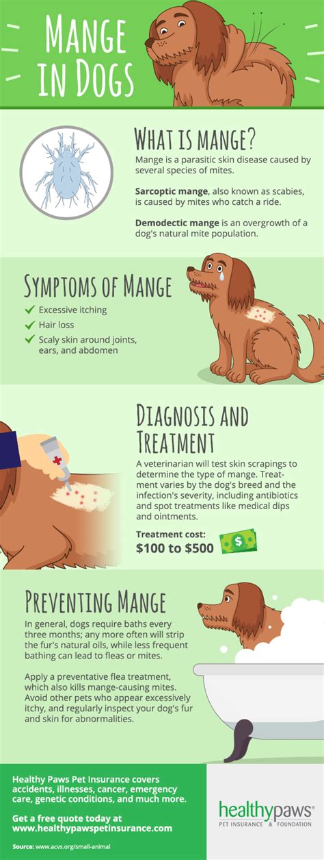  With prompt treatment, dogs can live happy and healthy lives, even if they have a chronic condition like IBD