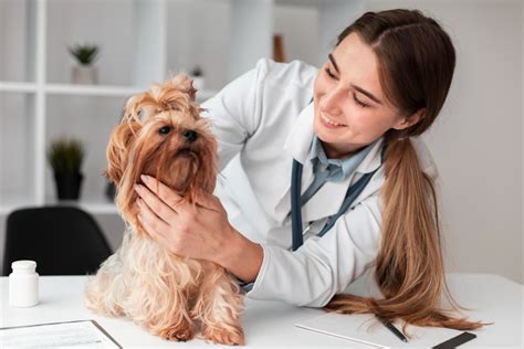  With the help of your holistic veterinarian, it may be possible to eliminate the need for insulin for your diabetic dog by using specific herbs and supplements and altering the diet to stabilize blood sugar
