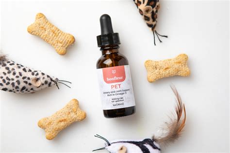  With this pet tincture, pet parents can provide their dogs with the care and support they need during the toughest of times