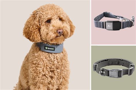  With this slender, smart collar, you can count your pup