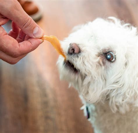  With treats, you can give them right to your pet to chew and swallow