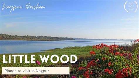  Wood  Nagpur