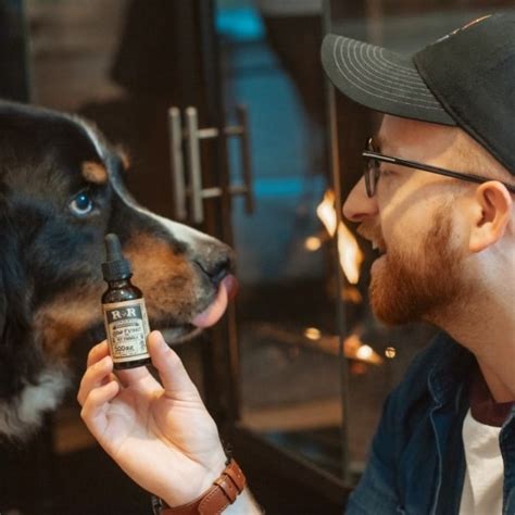  Yes, your dog can take too much CBD oil and have a negative experience