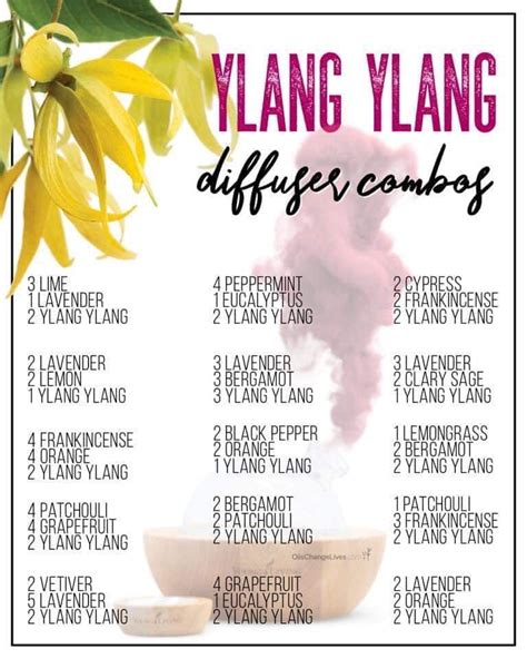  Ylang Ylang Diffuser Blends I usually diffuse one oil at a time, but when I want to get creative, I