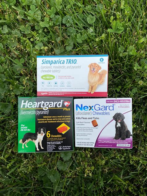  You also need to pay for flea, tick, and heartworm prevention