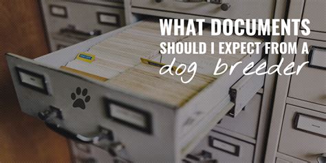  You also should inquire if your breeder is testing the parents for breed-specific conditions