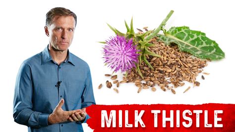  You and I could legally talk about milk thistle to protect the liver, and I would be free to advise you to get a milk thistle extract