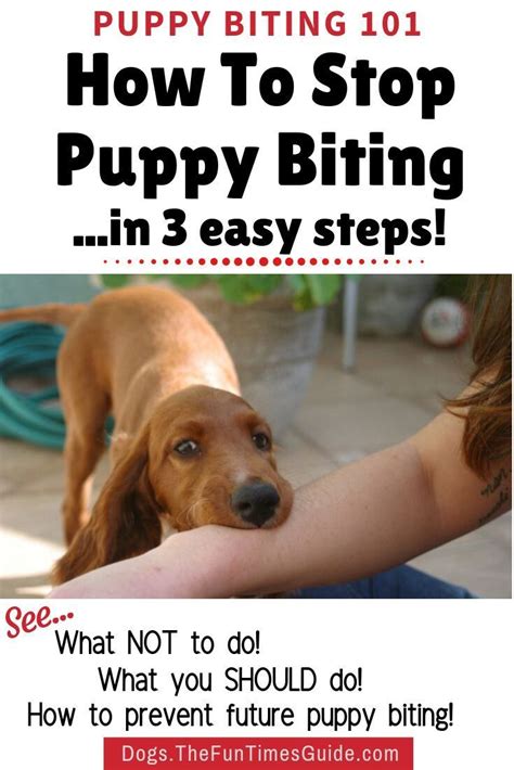  You are then free to continue doing so until the puppy learns to stop biting hard