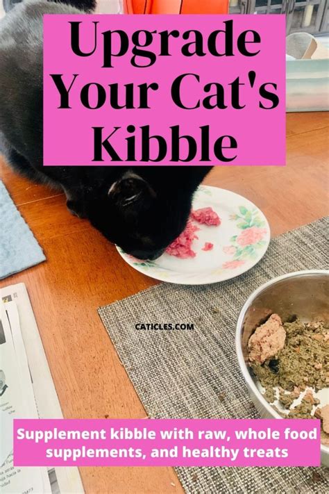  You are welcome to supplement with kibble for those times when the food is not defrosted in time, for travel, and other unforeseeable circumstances