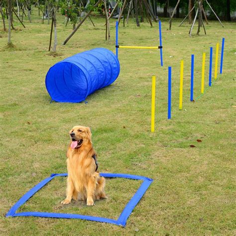  You can also cater to their love of agility with an exciting backyard hurdle course