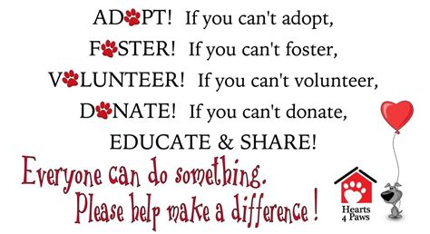  You can also donate, foster, volunteer, participate in fundraising events, and spread the word about the work that they do