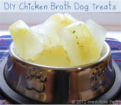  You can also make the broth into ice cubes for your puppy to enjoy