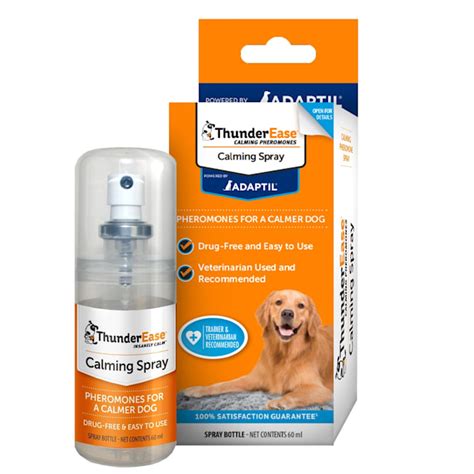  You can also try calming dog pheromone sprays or supplements such as Solliquin or Composure from reputable veterinary companies