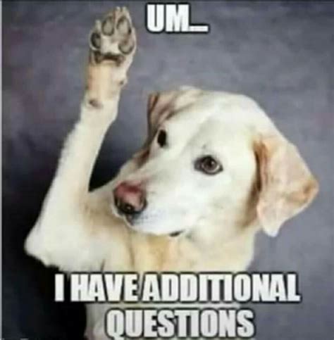  You can contact them whenever you have a question or issue raising your puppy