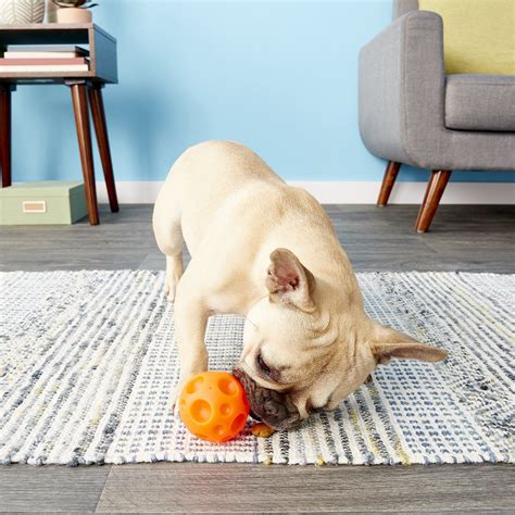  You can even get French Bulldog chew toys that go in the freezer first, to help soothe sore gums