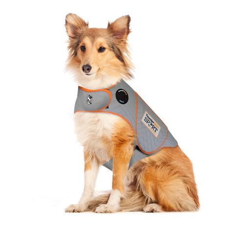  You can find vests, like the Thunder Shirt, at your local pet store