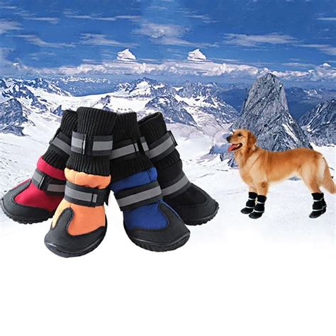  You can get some durable winter gear for your dog to help them better handle the cold