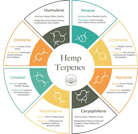  You can thank terpenes for that