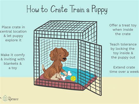  You can use treats to train your dog to go into their crate on their own eventually