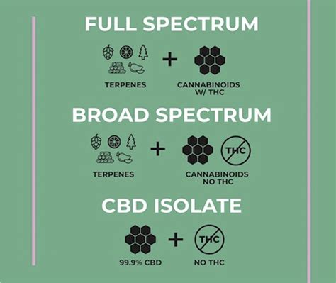  You have likely heard the many terms associated with various types of CBD: CBD isolate, broad spectrum, and full spectrum